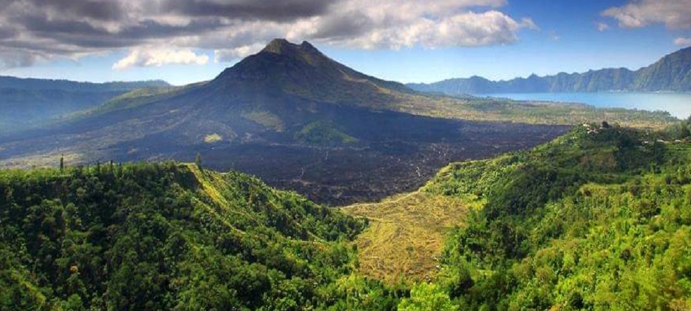 kintamani